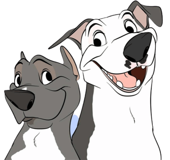 American Bully Breeds