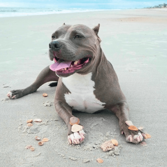 Media & Press – Noah & Lincoln